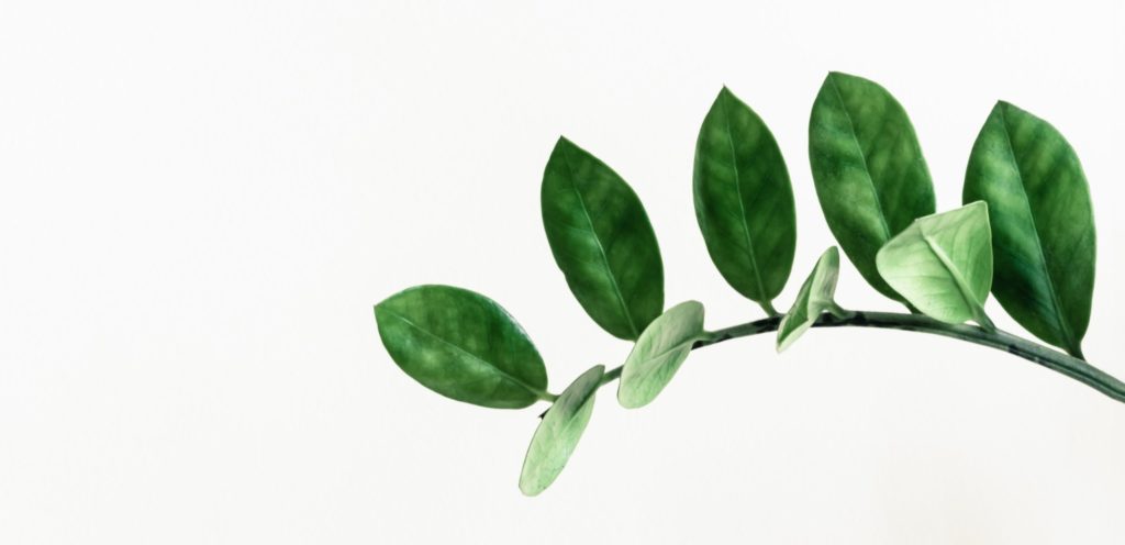 水油平衡Water & Oil Balance JUSTT BEAUTHY 唯美健康 營養亮肌美容油 Facial Oil + 保濕精華 滴雞精 中西醫結合研製 保健養生優質營養滴雞精 最高的蛋白質BCAA總支鏈氨基酸含量 準備懷孕 (女士,男士) 孕婦 產婦 銀髮族 上班族 小朋友 手術後康服病人 大眾抗疫滴雞精療程 